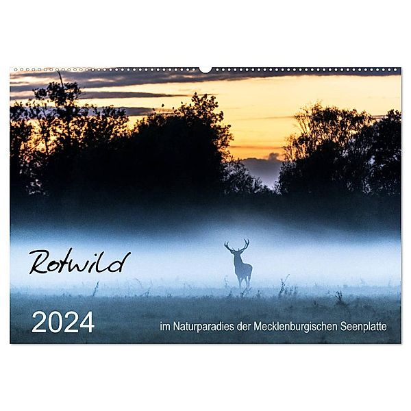 Rotwild - im Naturparadies der Mecklenburgischen Seenplatte (Wandkalender 2024 DIN A2 quer), CALVENDO Monatskalender, André Pretzel - FotoPretzel