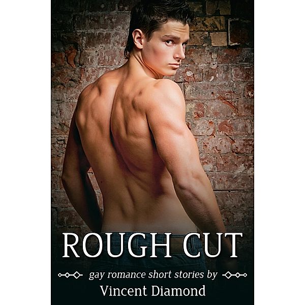 Rough Cut / JMS Books LLC, Vincent Diamond