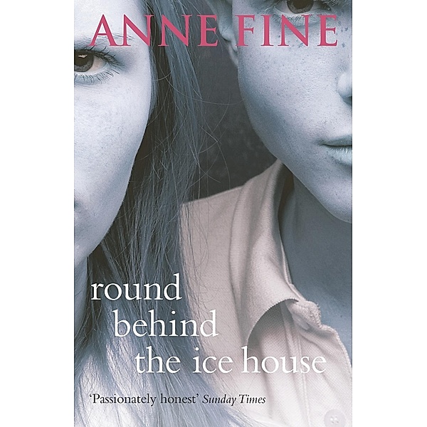 Round Behind The Ice House, Anne Fine