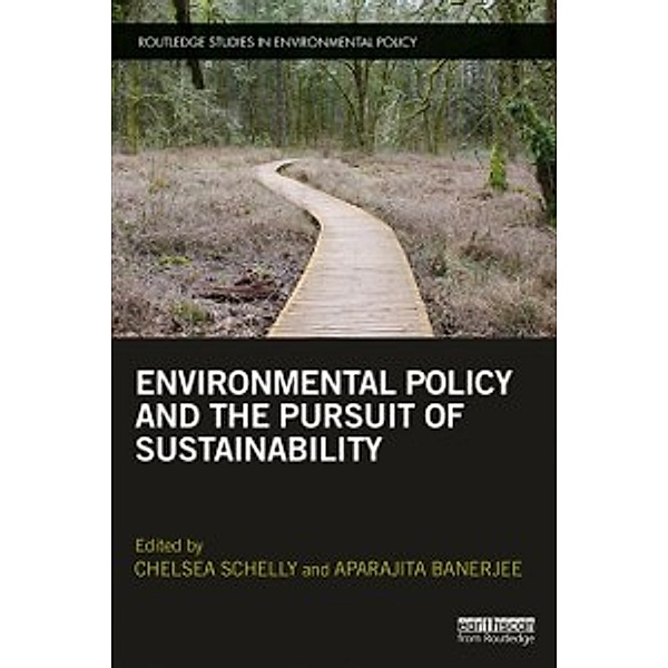 Routledge Studies in Environmental Policy: Environmental Policy and the Pursuit of Sustainability