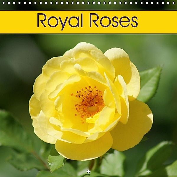 Royal Roses (Wall Calendar 2018 300 × 300 mm Square), kattobello