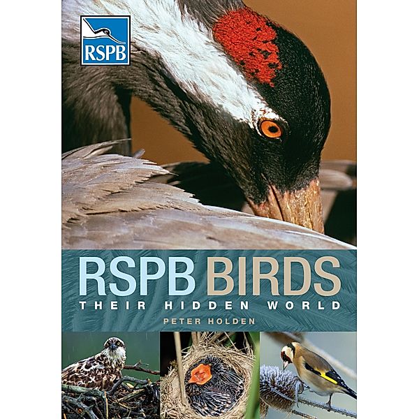 RSPB Birds: Their Hidden World, Peter Holden