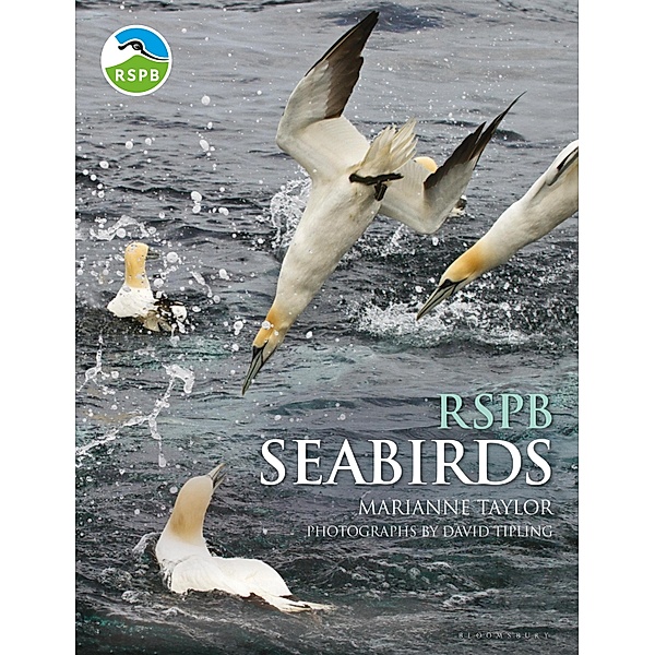 RSPB Seabirds, Marianne Taylor