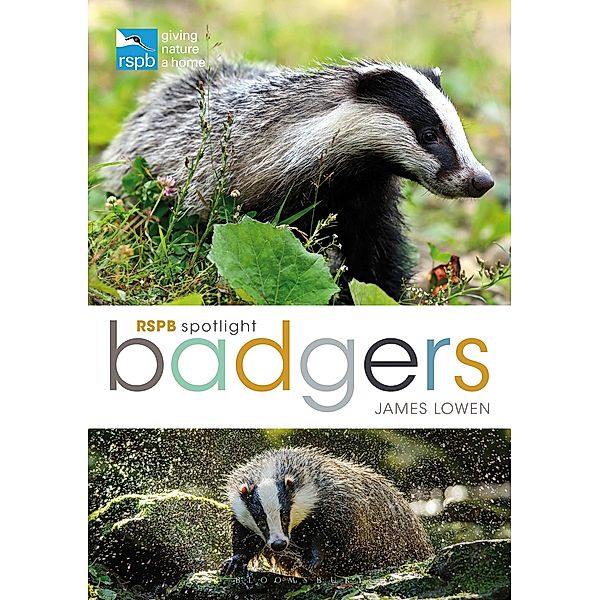 RSPB Spotlight: Badgers, James Lowen