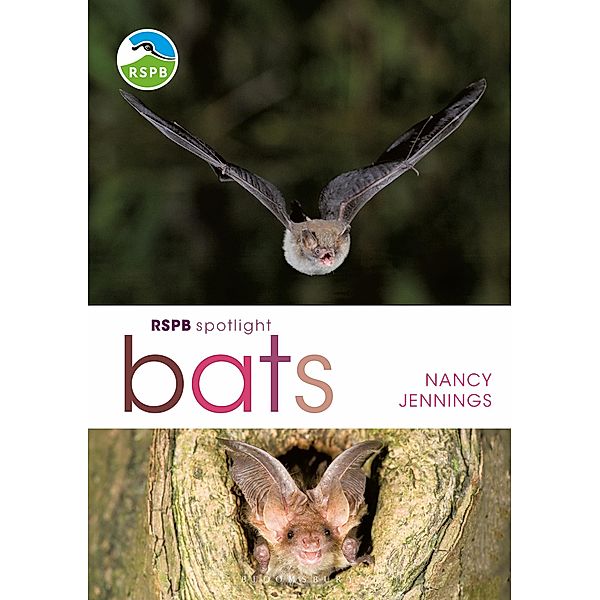 RSPB Spotlight Bats, Nancy Jennings