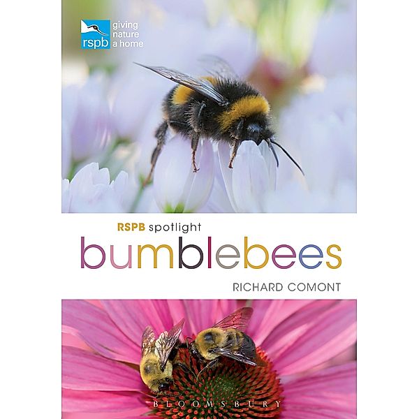RSPB Spotlight Bumblebees, Richard Comont