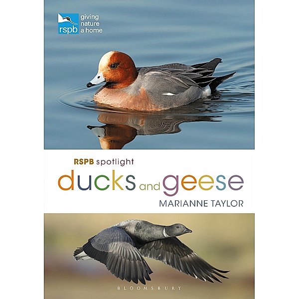 RSPB Spotlight Ducks and Geese, Marianne Taylor
