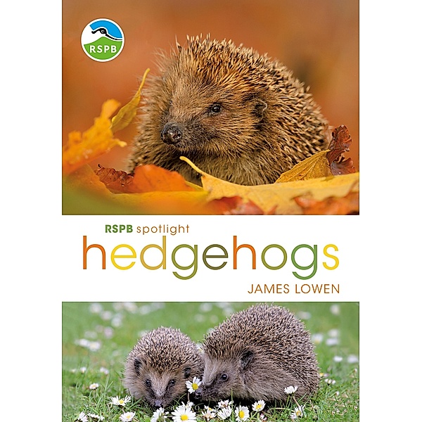 RSPB Spotlight Hedgehogs, James Lowen