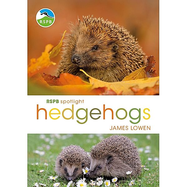 RSPB Spotlight Hedgehogs, James Lowen