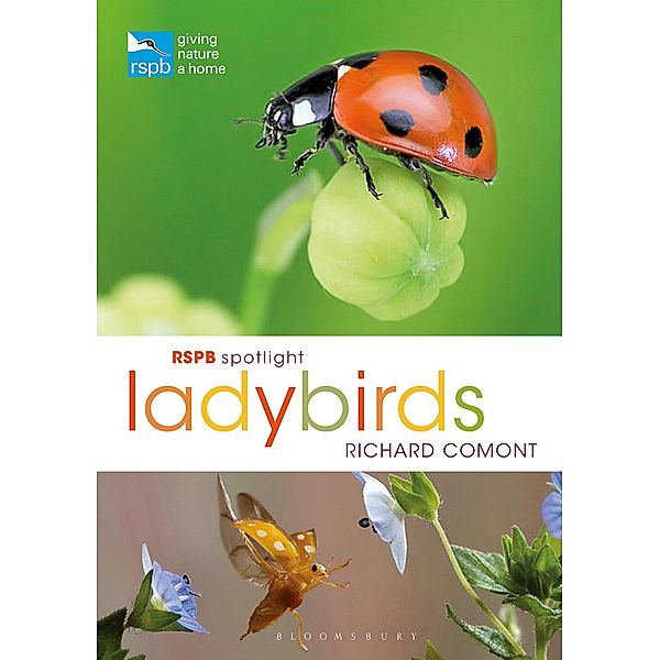 RSPB Spotlight Ladybirds, Richard Comont