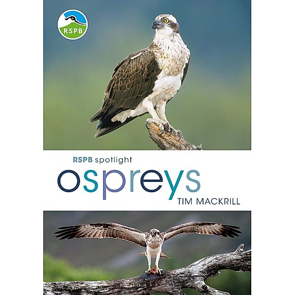 RSPB Spotlight Ospreys, Tim Mackrill