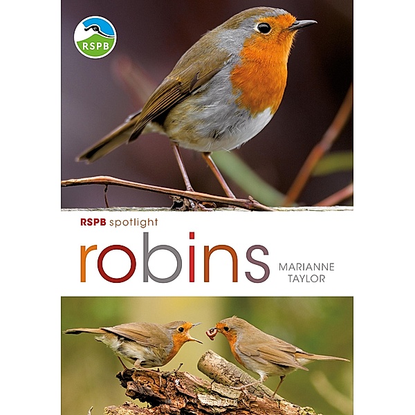RSPB Spotlight: Robins, Marianne Taylor