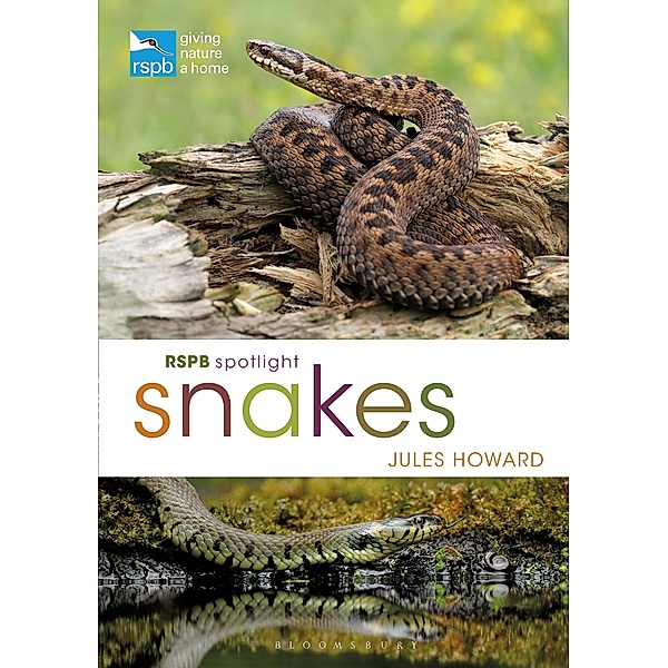 RSPB Spotlight Snakes, Jules Howard