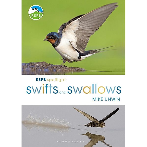 RSPB Spotlight Swifts and Swallows, Mike Unwin