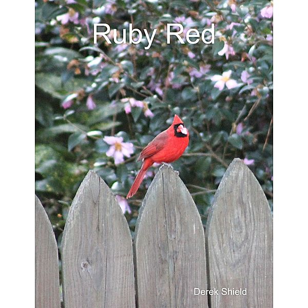 Ruby Red, Derek Shield