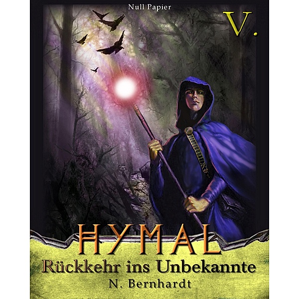 Rückkehr ins Unbekannte / Der Hexer von Hymal Bd.5, N. Bernhardt