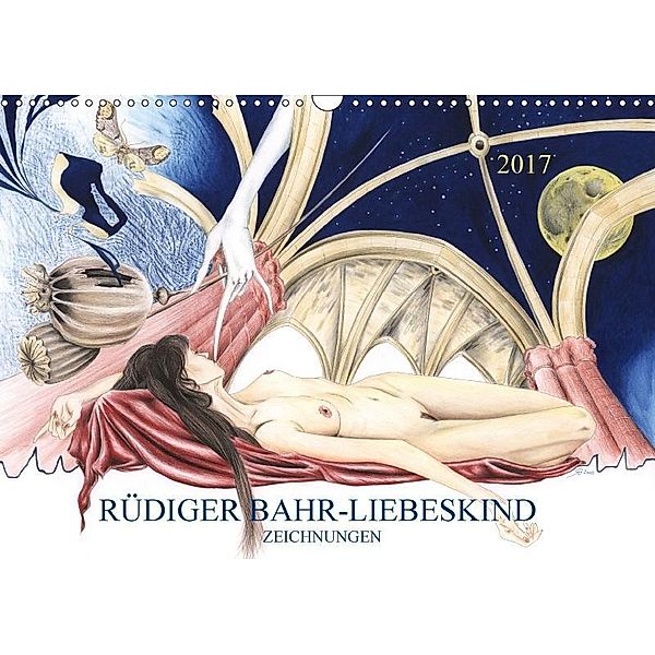 RÜDIGER BAHR-LIEBESKIND ZEICHNUNGEN (Wandkalender 2017 DIN A3 quer), Rüdiger Bahr-Liebeskind