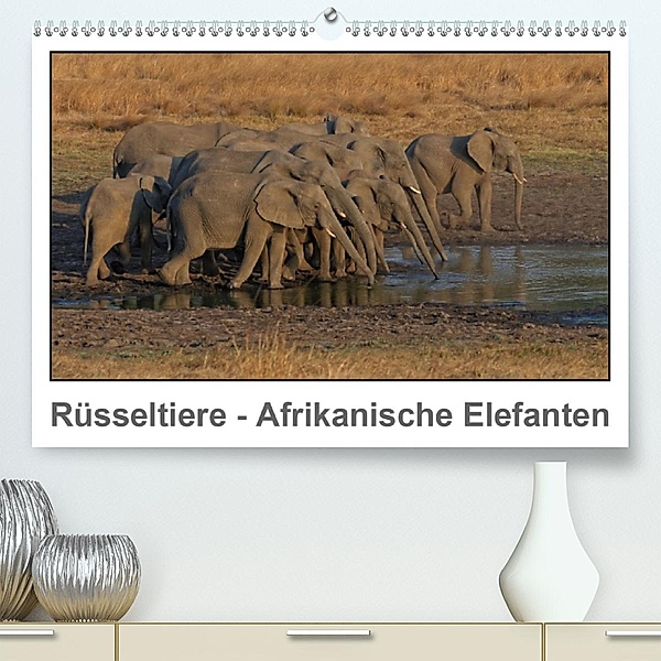 Rüsseltiere - Afrikanische Elefanten (Premium, hochwertiger DIN A2 Wandkalender 2020, Kunstdruck in Hochglanz), Gerald Wolf