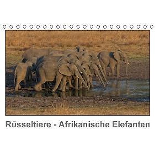 Rüsseltiere - Afrikanische Elefanten (Tischkalender 2016 DIN A5 quer), Gerald Wolf