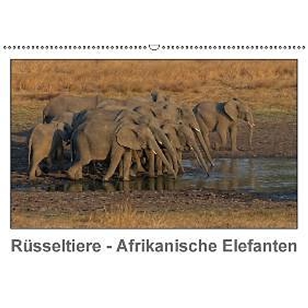 Rüsseltiere - Afrikanische Elefanten (Wandkalender 2016 DIN A2 quer), Gerald Wolf
