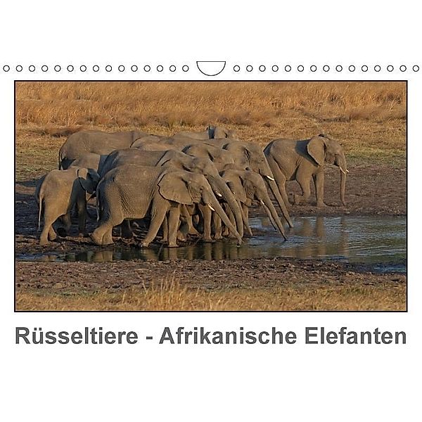 Rüsseltiere - Afrikanische Elefanten (Wandkalender 2017 DIN A4 quer), Gerald Wolf