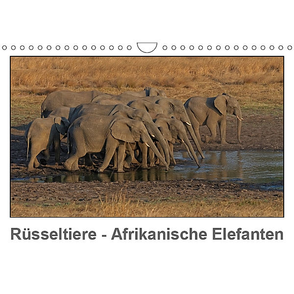 Rüsseltiere - Afrikanische Elefanten (Wandkalender 2019 DIN A4 quer), Gerald Wolf
