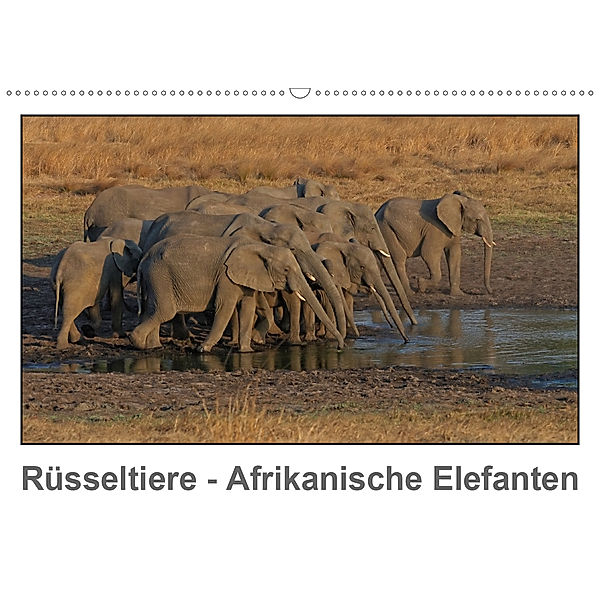 Rüsseltiere - Afrikanische Elefanten (Wandkalender 2020 DIN A2 quer), Gerald Wolf