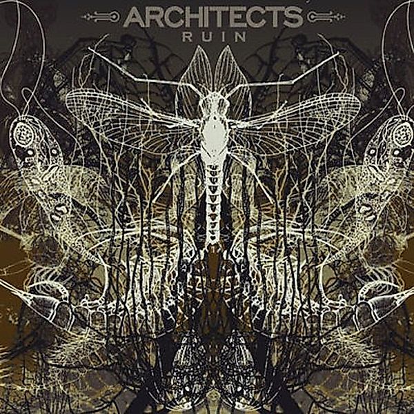 Ruin (Vinyl), Architects