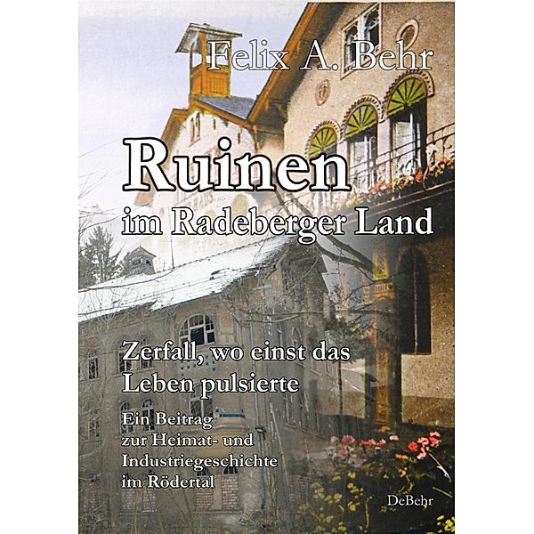 Ruinen im Radeberger Land - Zerfall, wo einst das Leben pulsierte - Ein Beitrag zur Heimat- und Industriegeschichte im Rödertal, Felix A. Behr