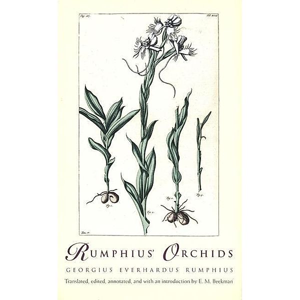 Rumphius' Orchids, Georgius Everhardus Rumphius