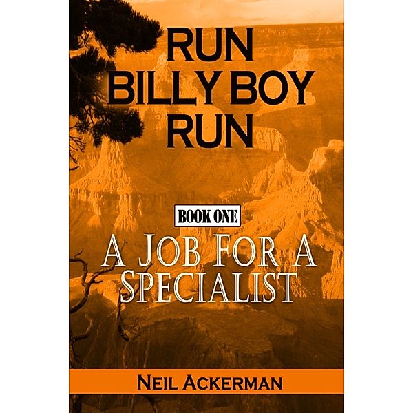 Run Billy Boy Run: Run Billy Boy Run Book One: A Job for a Specialist, Neil Ackerman