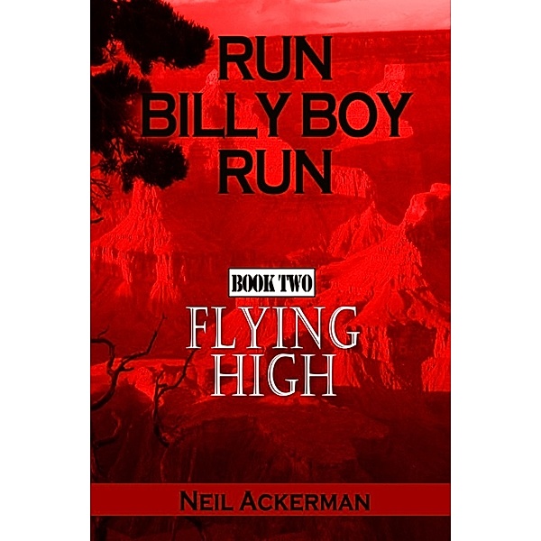 Run Billy Boy Run: Run Billy Boy Run, Book Two: Flying High, Neil Ackerman
