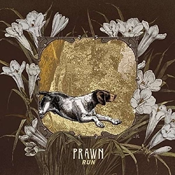 Run (Vinyl), Prawn