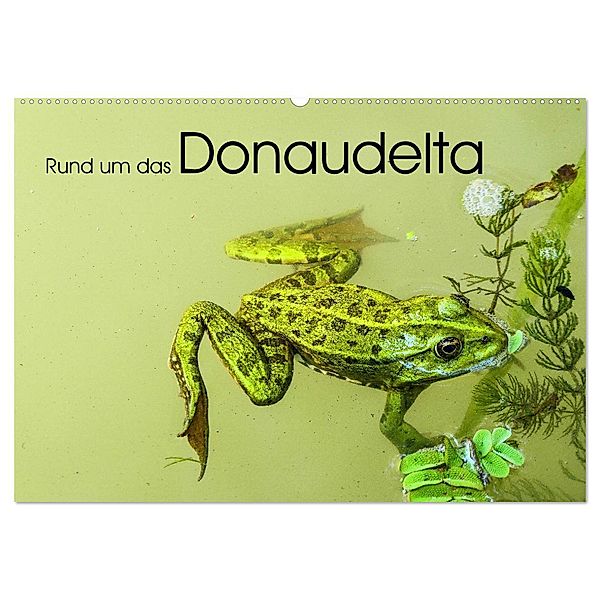 Rund um das Donaudelta (Wandkalender 2025 DIN A2 quer), CALVENDO Monatskalender, Calvendo, Gabi Hampe