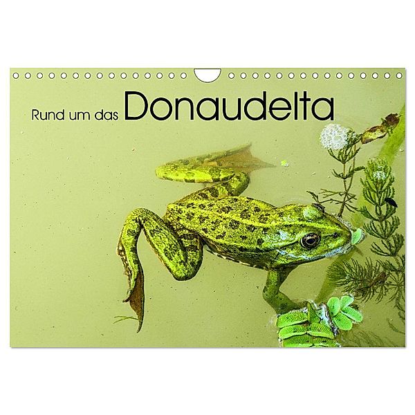 Rund um das Donaudelta (Wandkalender 2025 DIN A4 quer), CALVENDO Monatskalender, Calvendo, Gabi Hampe