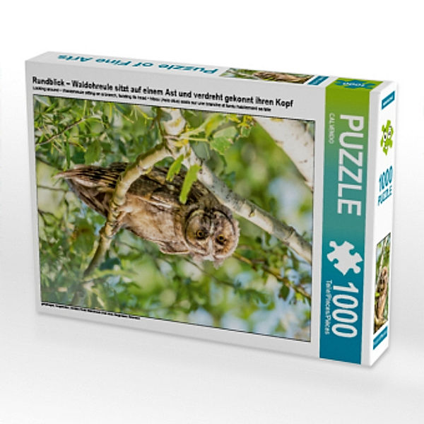 Rundblick - Waldohreule sitzt auf einem Ast und verdreht gekonnt ihren Kopf (Puzzle), Calvendo