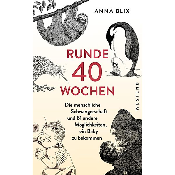 Runde 40 Wochen, Anna Blix