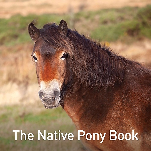 Russ, J: Native Pony Book, Jane Russ