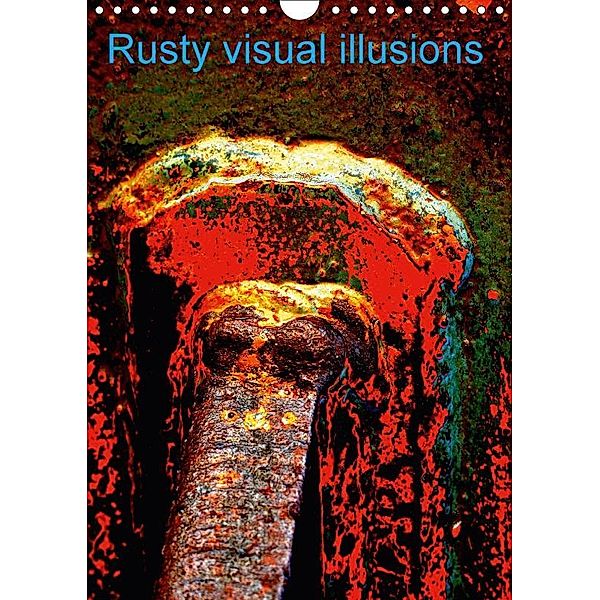 Rusty visual illusions (Wall Calendar 2017 DIN A4 Portrait), Dominique Leroy