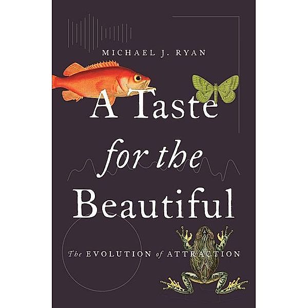 Ryan, M: Taste for the Beautiful, Michael Ryan