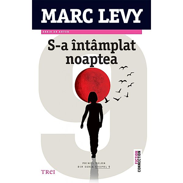 S-a intamplat noaptea / Fictiune, Marc Levy