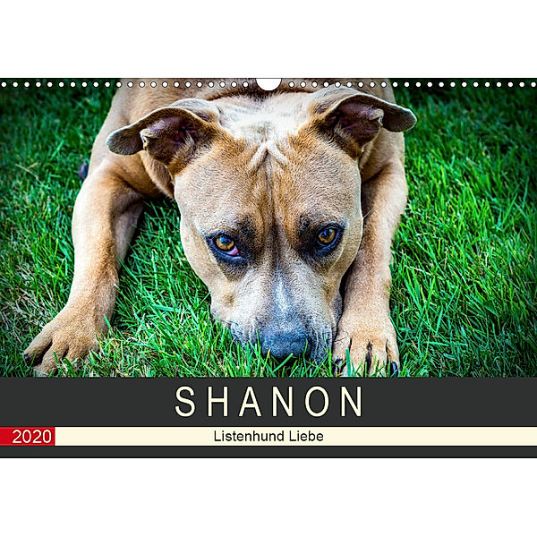 S H A N O N - Listenhund Liebe (Wandkalender 2020 DIN A3 quer)