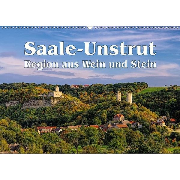 Saale-Unstrut - Region aus Wein und Stein (Wandkalender 2017 DIN A2 quer), LianeM