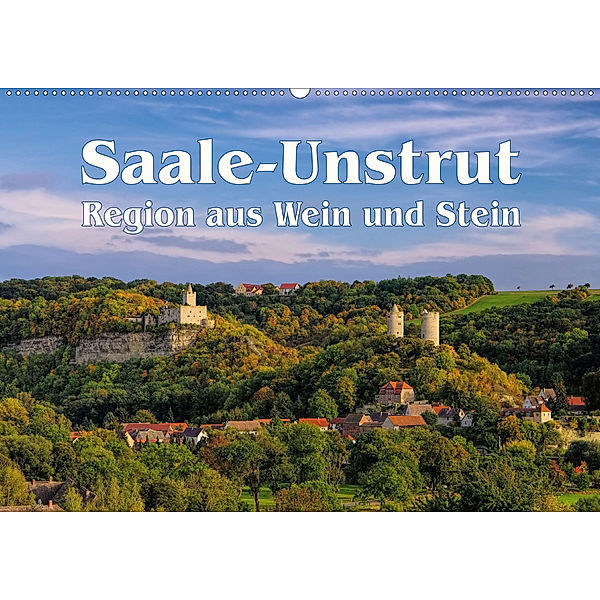 Saale-Unstrut - Region aus Wein und Stein (Wandkalender 2020 DIN A2 quer)