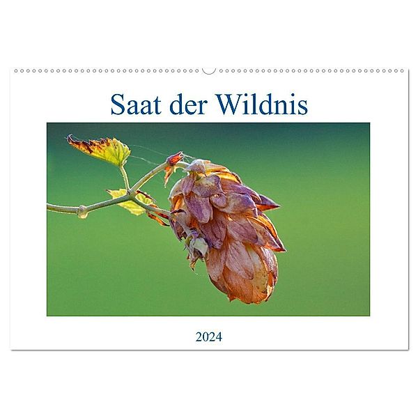 Saat der Wildnis (Wandkalender 2024 DIN A2 quer), CALVENDO Monatskalender, Clemens Stenner