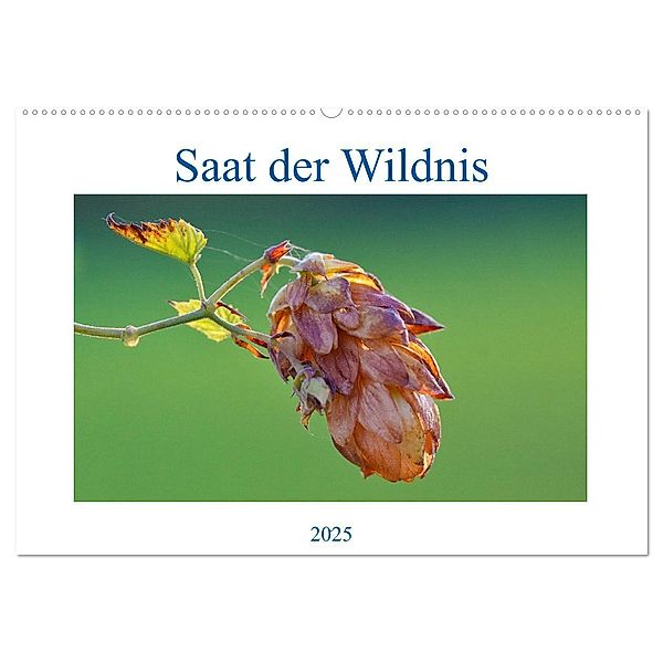 Saat der Wildnis (Wandkalender 2025 DIN A2 quer), CALVENDO Monatskalender, Calvendo, Clemens Stenner