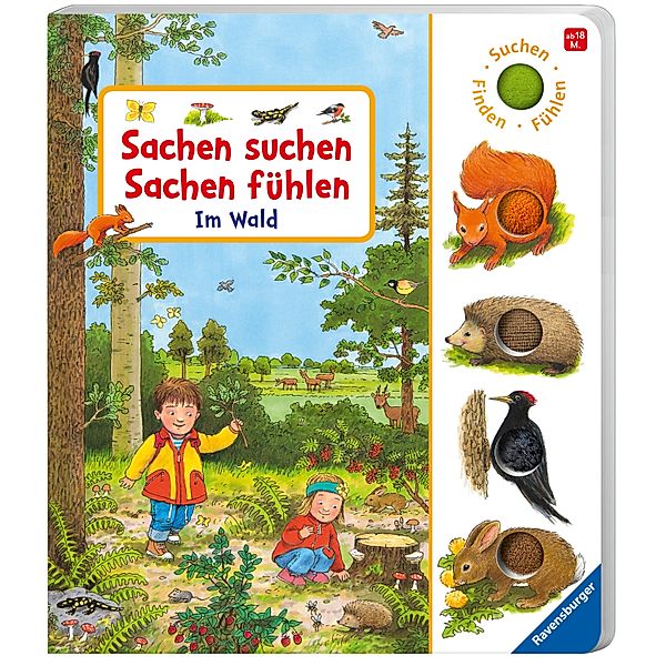 Sachen suchen, Sachen fühlen: Im Wald, Frauke Nahrgang