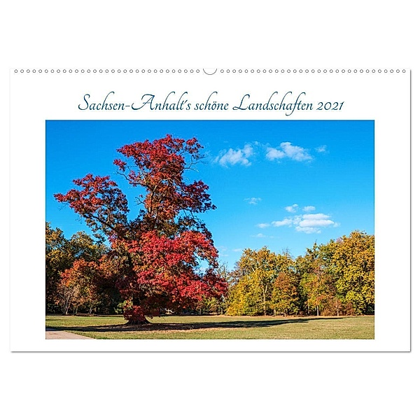 Sachsen-Anhalt's schöne Landschaften (Wandkalender 2024 DIN A2 quer), CALVENDO Monatskalender, Uwe Graf