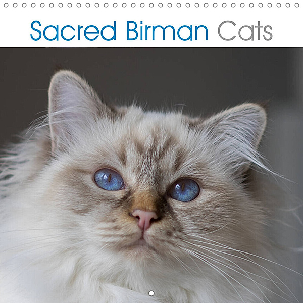 Sacred Birman Cats (Wall Calendar 2023 300 × 300 mm Square), Grapheum.de