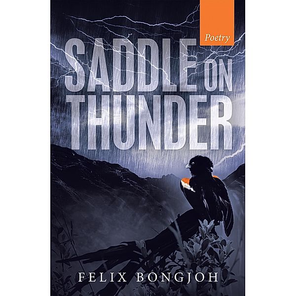 Saddle on Thunder, Felix Bongjoh